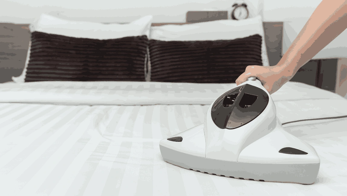 Professional Mattress Cleaning Kinglake